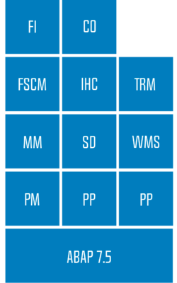 consultoria-sap